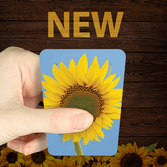 Follow the Son — New Motion Tract!