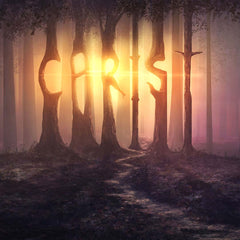 Jesus Christ in All the Scriptures