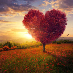 The Holy Love of God