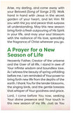 A Symphony Of New Life
