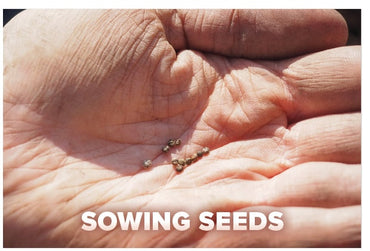 Sowing Seeds