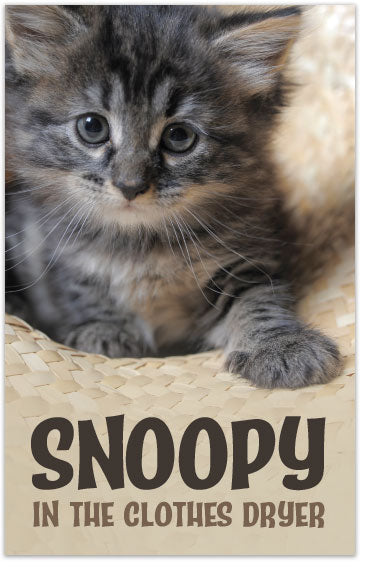 Snoopy in the Clothes Dryer