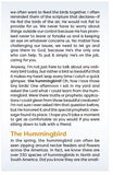 A Special Message From The Hummingbird