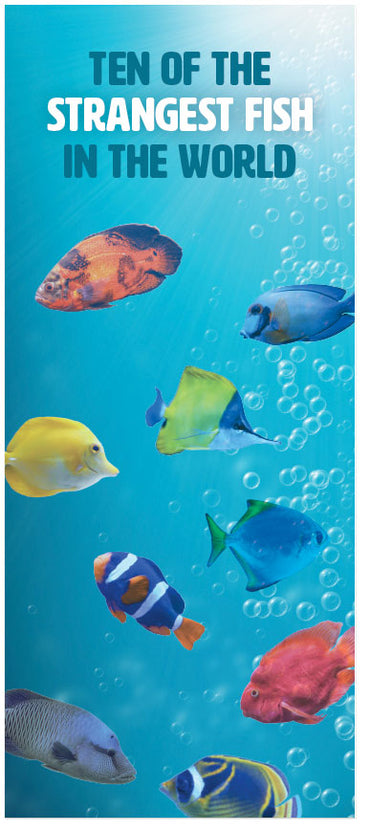Ten of the Strangest Fish in the World