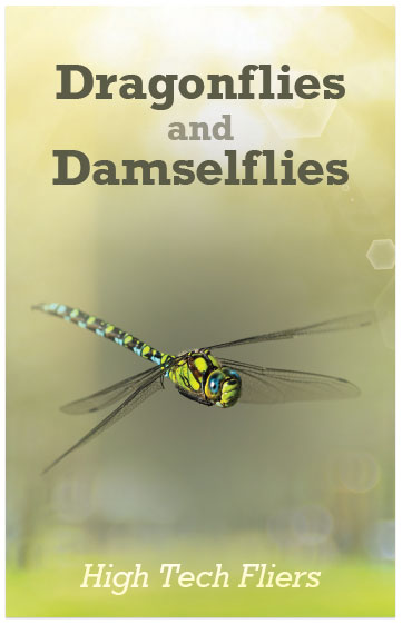 Dragonflies and Damselflies