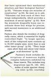 Dragonflies and Damselflies