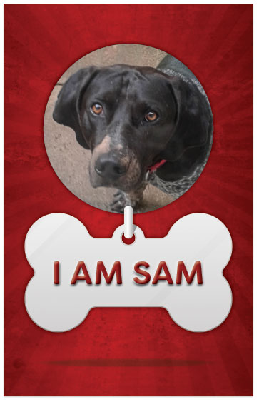 I Am Sam