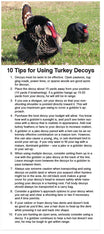 Turkey Hunting and Heaven (KJV) (Preview page 1)