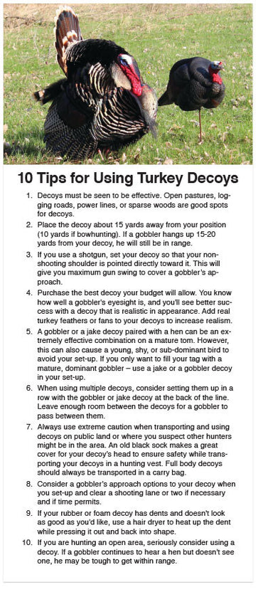 Turkey Hunting and Heaven (KJV) (Preview page 1)