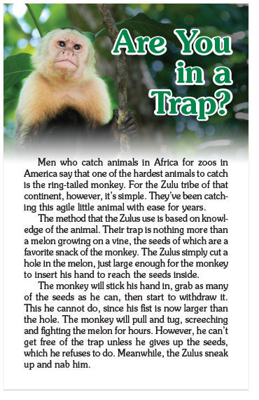 Are You In A Trap? (KJV) (Preview page 1)