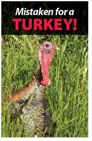 Mistaken For A Turkey (KJV)