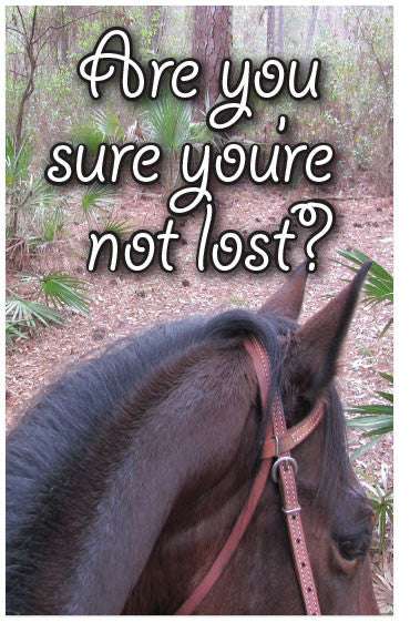 Are You Sure You're Not Lost? (KJV) (Preview page 1)