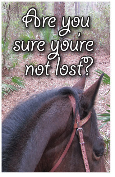 Are You Sure You're Not Lost? (NKJV) (Preview page 1)