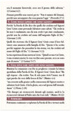 The Catholic Bible Says ... (Italian)