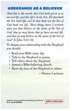 Did Ewe Know? (KJV)