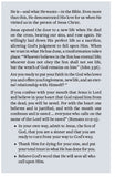 In What Are You Putting Your Faith?
