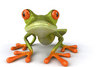Calling (Frog)