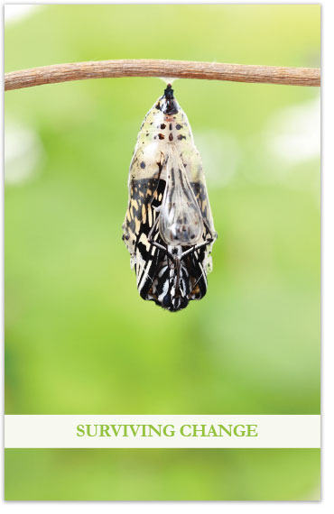 Surviving Change (ESV)