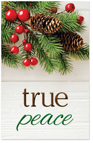 True Peace (Preview page 1)