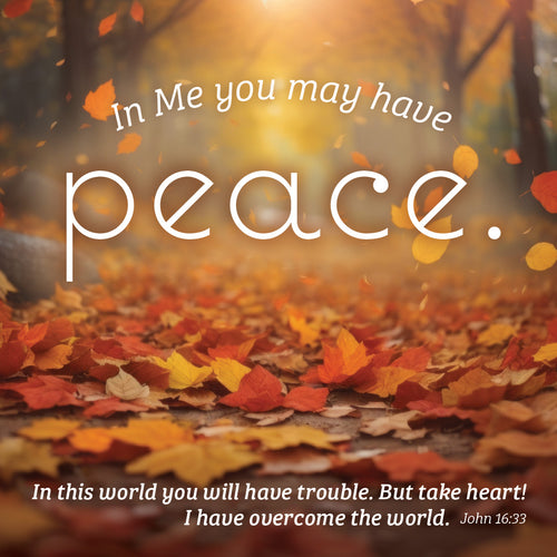 John 16:33