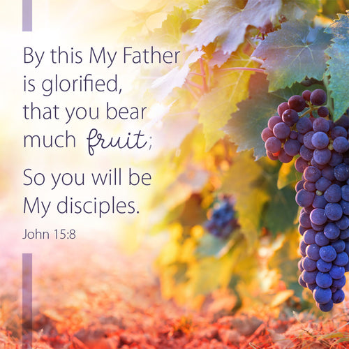 Bible Verse