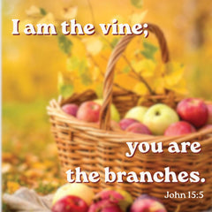 Fruit of The Spirit
