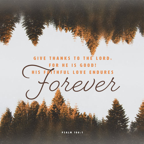 Bible Verse