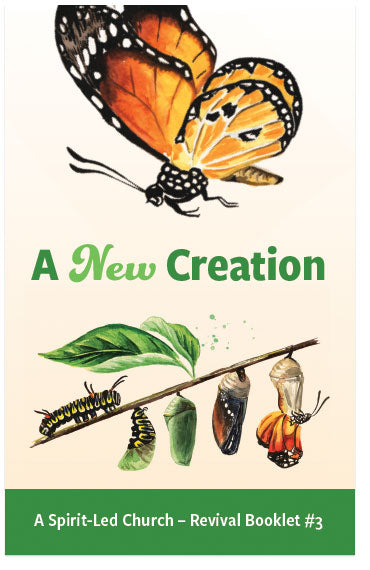 A New Creation