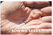 Sowing Seeds