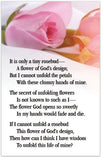 The Rose