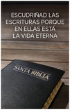 Search The Scriptures (Page 1)