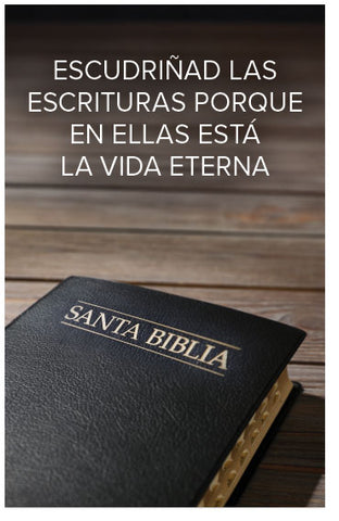 Search The Scriptures (Page 1)