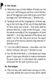 THE QURAN, THE TORAH, & THE GOSPEL (Page 3)