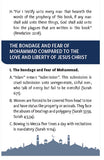 THE QURAN, THE TORAH, & THE GOSPEL (Page 5)