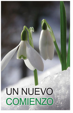 Starting Fresh (Spanish)