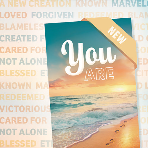 Moments With The Book: Gospel Tracts and other Evangelistic Resources