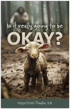 Is It Really Going To Be Okay? (Psalm 23)