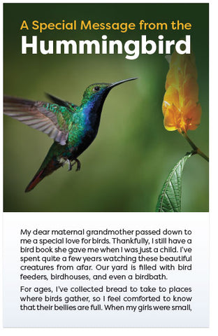 A Special Message From The Hummingbird