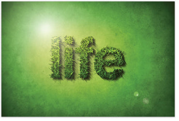 Life (Postcard, KJV)
