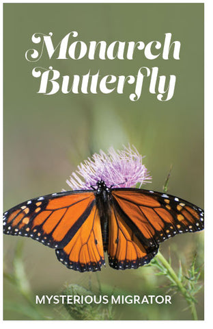 Monarch Butterfly: Mysterious Migrator