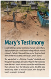 Mary's Testimony