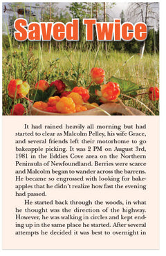 Saved Twice (KJV) (Preview page 1)