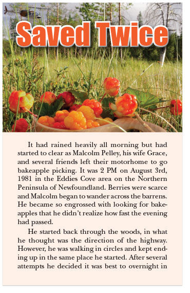 Saved Twice (KJV) (Preview page 1)