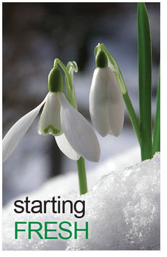 Starting Fresh (ESV) (Preview page 1)