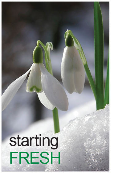 Starting Fresh (ESV) (Preview page 1)