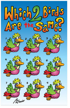Which 2 Birds Are The Same? (NIV) (Preview page 1)