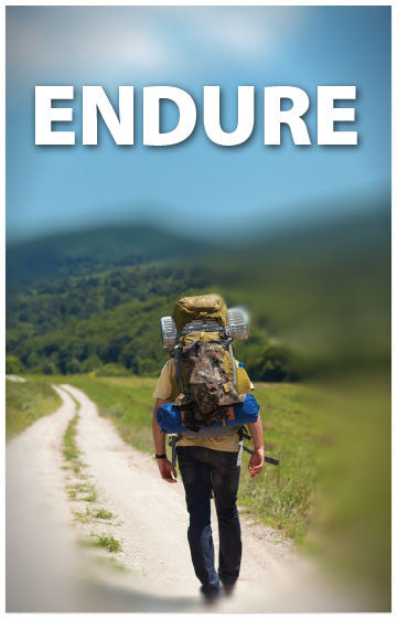Endure (Preview page 1)