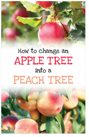 How To Change An Apple Tree Into A Peach Tree (Preview page 1)