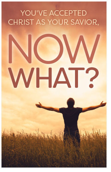 Now What? (Preview page 1)