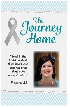 The Journey Home (Preview page 1)